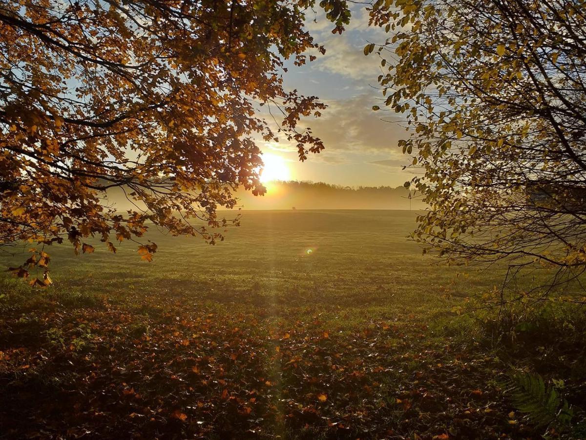 Baeverli Hills Lidkoping Luaran gambar